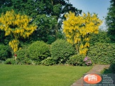 28 - Garten - Foto 1