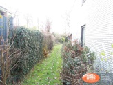 31 - Östlicher Gartenbereich